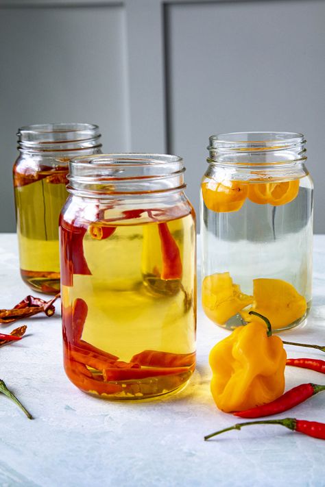 How to Infuse Alcohol with Chili Peppers - A Guide - Chili Pepper Madness Pepper Infused Tequila, Mango Infused Vodka, Spicy Infused Vodka, Pepper Infused Vodka, Flavored Alcohol, Infused Liquors, Thanksgiving Morning, Tequila Recipe, Spicy Drinks