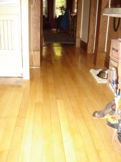 Chicago 2-Flat: Refinishing Maple Floors Refinish Maple Floors, Refinishing Maple Floors, Refinished Maple Floors, Maple Floors Living Room, Maple Wood Flooring, Refinish Wood Floors, Maple Hardwood Floors, Maple Floors, Floor Stain