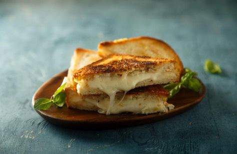 How to make Panera Bread's discontinued Fontina Grilled Cheese | Food & Cooking | theindependent.com Panera Grilled Cheese, Panera Sandwiches, Fontina Grilled Cheese, Grilled Cheese Recipes Gourmet, Grilled Cheese Recipe, Classic Grilled Cheese, Cheese Food, Chicken Sandwich Recipes, Fried Chicken Sandwich