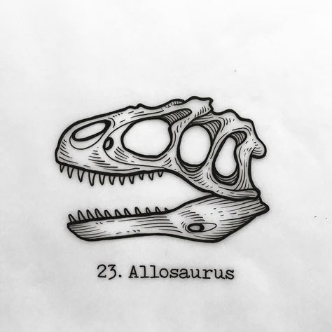 Dinosaur Skull, Mantra Tattoo, Engraving Tattoo, Dinosaur Tattoos, Dinosaur Drawing, Dinosaur Illustration, Skulls Drawing, Line Work Tattoo, Skull Drawing