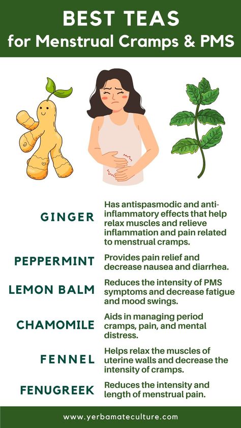 6 Best Herbal Teas for Menstrual Cramps and PMS Teas For Period, Menstrual Tea, Tea For Menstrual Cramps, Fenugreek Tea, Best Herbal Teas, Period Cramp Relief, Monthly Cycle, Best Teas, Best Herbal Tea