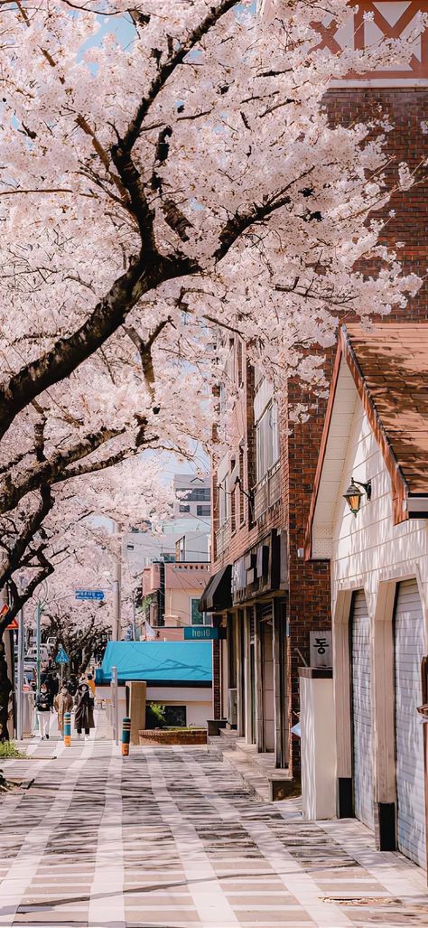 Aesthetic Floral Wallpaper, Cherry Blossom Wallpaper, Korea Wallpaper, Phone Wallpaper Boho, Aesthetic Floral, Witchy Wallpaper, Pretty Landscapes, Japan Aesthetic, Spring Wallpaper