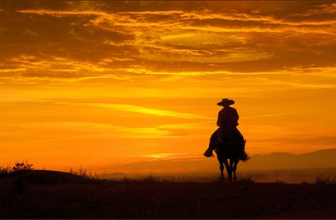 Riding Into The Sunset, Cowboy Sunset, Riding Horse, The Sunset, Wild West, Country Style, Cowboy, Celestial Bodies, Google Search