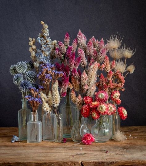 Colorful Dry Flowers, Dried Flower Terrarium, Dry Flowers Bouquet, Dried Flower Display, Preserved Flower Arrangement, Diy Dried Flower Arrangement, Dried Flower Wall, January Flower, Dried Flowers Arrangement