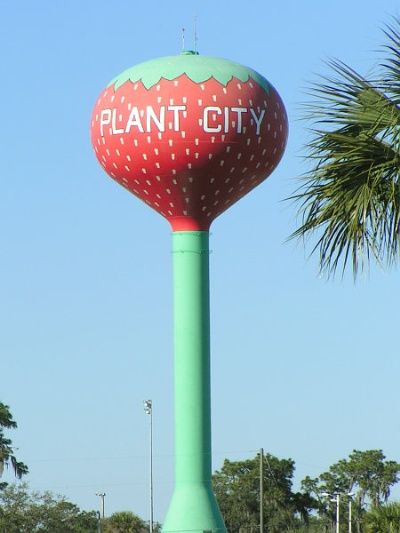 Plant City, in Hillsborough County, is known for it's Strawberries! You can't miss the strawberry water tower. Photo Credit: The Life of a Honeybee Plant City Florida, Strawberry Water, Strawberry Festival, Old Windmills, Fund Raiser, Plant City, Water Towers, Florida Girl, Parking Spot