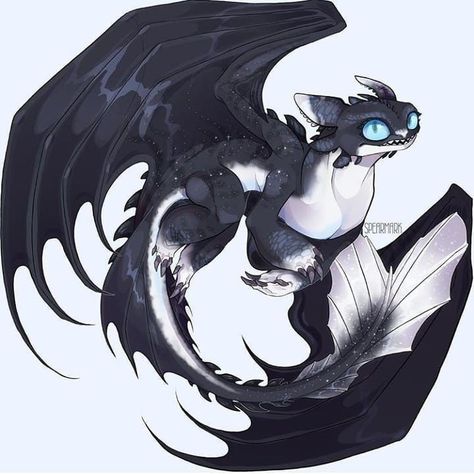 Night Fury Light Fury, Toothless Drawing, Night Light Fury, Ur Dragon, Night Fury Dragon, Dragons Httyd, Httyd Oc, Httyd Art, Dragon Oc