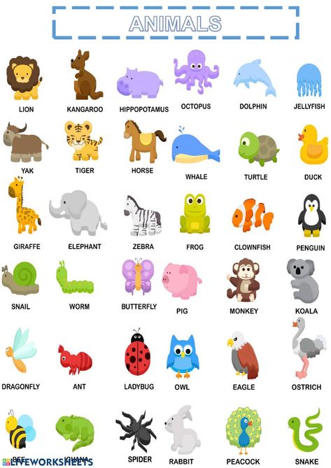 Different Types Of Animals Worksheet, Land Animals Chart, Animals Chart Free Printable, Types Of Animals Chart, Animal Chart For Kids, Animals For Kids Teaching, Animals Pictures For Kids, Animal Worksheets For Kids, Animals Worksheets For Kids