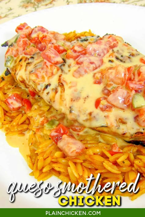 Queso Smothered Chicken - Tex-Mex grilled chicken smothered in Queso and served over southwest seasoned orzo. SO quick and easy to make. This chicken is AMAZING! I wanted to lick my plate!!! #chicken #mexican #cheese #queso #texmex #familydinner Chicken With Queso Cheese, Chicken Chimichanga Recipe With Queso, Chicken With Queso, Chicken Diablo Recipe, Diablo Chicken, Queso Smothered Chicken, Grilled Queso, Chipotle Marinade, Velveeta Rotel