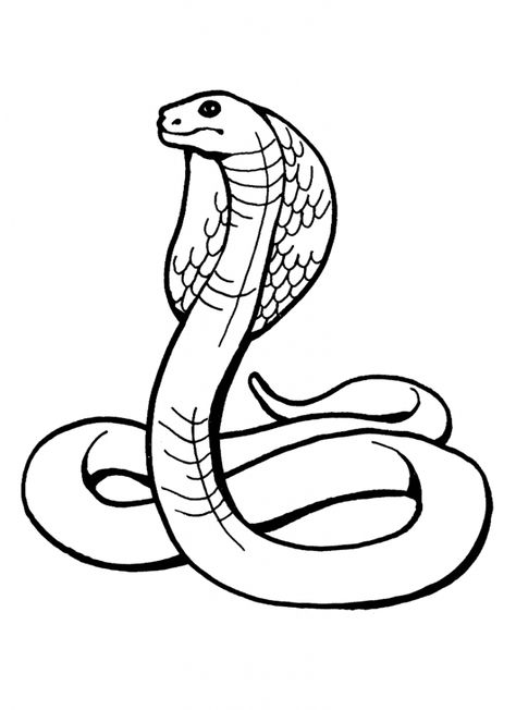 Free Printable Snake Coloring Pages For Kids Snake Coloring Pages, Snake Drawing, Ancient Egyptian Symbols, Valentines Day Coloring Page, Rainforest Animals, Valentines Day Coloring, Bird Coloring Pages, King Cobra, Symbols And Meanings