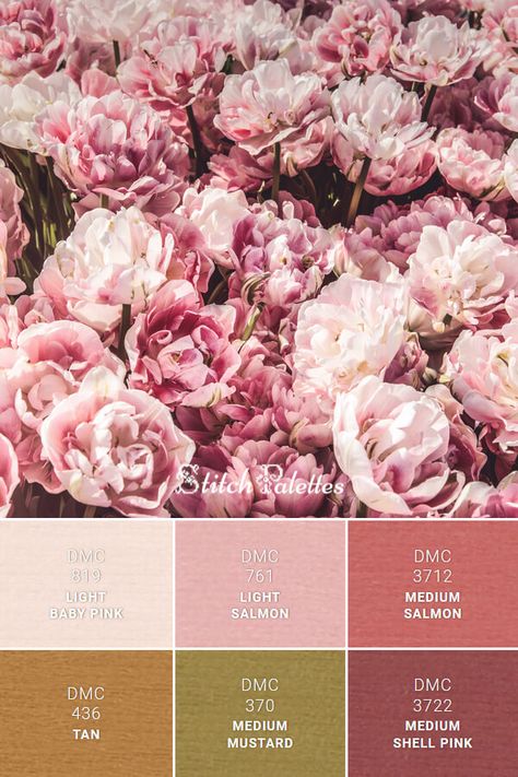 Floss color inspiration for cross stitch and embroidery projects. Thread colors used: DMC 819: Light Baby Pink / DMC 761: Light Salmon / DMC 3712: Medium Salmon / DMC 3722: Medium Shell Pink / DMC 370: Medium Mustard / DMC 436: Tan. Palette ID: SPA0527 Dmc Pink Color Palette Code, Colors That Compliment Pink, Stitch Palettes, Colour Wheel Theory, Peony Embroidery, Nude Color Palette, Light Baby Pink, Pink Thread, Light Salmon