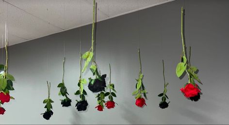 Roses From Ceiling, Roses Hanging From Ceiling, Roses Hanging From Ceiling Bedroom, Hanging Roses From Ceiling, Floating Roses From Ceiling, Hanging Roses, Hanging Roses Upside Down, Rose Hanging From Ceiling, Vampire Bedroom Ideas