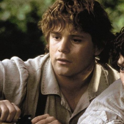 Samwise Gamgee Icon, Lotr Matching Icons, Lord Of The Rings Matching Pfp, Sam Lord Of The Rings, Sam Gamgee, Sean Astin, Legolas And Gimli, Lotr Cast, Samwise Gamgee