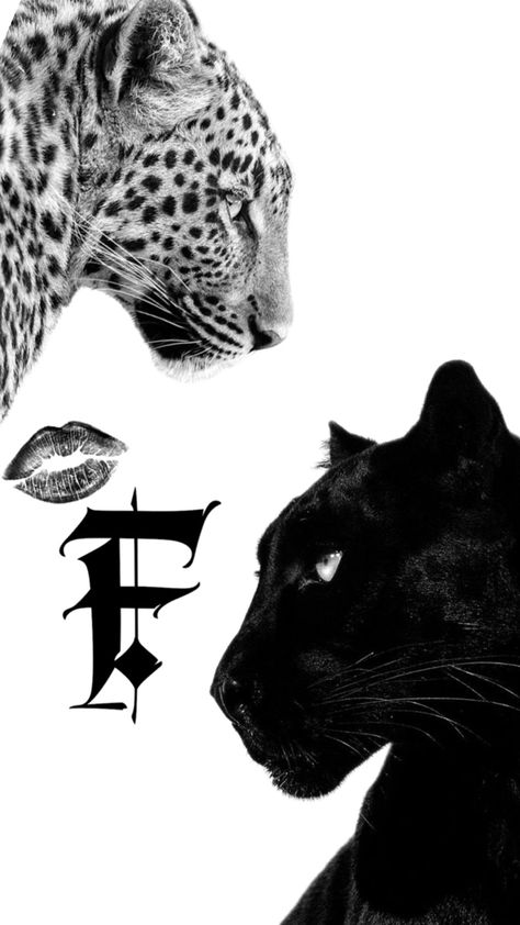 Leopard & Jaguar wallpaper with letter F and lipstick kiss 💋 F Wallpaper, Jaguar Wallpaper, Lipstick Kiss, Letter F, Jaguar, Animal Print, Kiss, Animals