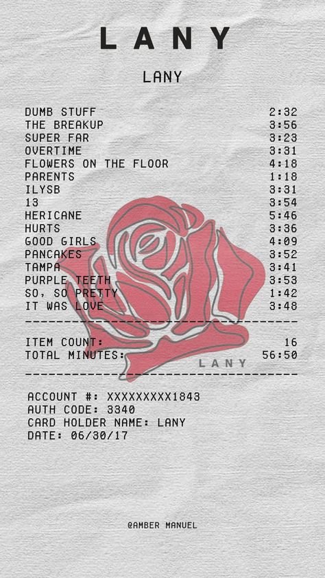 Lany Wallpaper Aesthetic, Lany Poster, Lany Aesthetic, Lany Band Wallpaper, Lany Concert, Lany Band, Album Receipt, Paul Jason Klein, Paul Klein