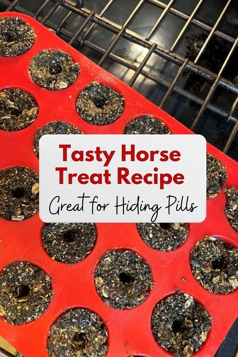 Tasty Horse Treat Recipe - Great for Hiding Pills In - Our Country Life Diy Horse Pill Pockets, Horse Cookies Recipes, Homemade Horse Treats, Pill Pockets, Horse Cookies, Horse Food, Diy Horse, Miniature Horses, Horse Things