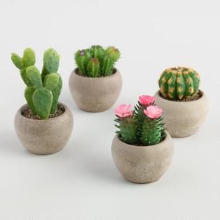 Fake Cactus, Kaktus Dan Sukulen, Artificial Cactus, Plant Care Guide, Faux Cactus, Making Plant Pots, Pots Set, Indoor Cactus, Mini Plant