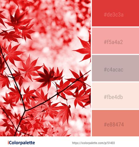 Strawberry Red Color Palette, Kitsune Color Palette, Canva Color Palette Codes Red, Red White Colour Palette, Red Color Palette Colour Schemes, Strawberry Color Palette, Color Schemes Red, Red Color Palettes, Color Palette Theme