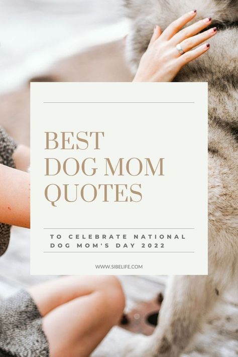 National Dog Mom's Day is such a special day for us dog moms! So, in honor of this upcoming National Dog Mom's Day, I put together 85 dog mom quotes to celebrate us! Share these heartwarming dog mom quotes with your dog mom friends or use them for your Instagram caption! #dogmomquotes #dogmomlife #dogquotes #dogmomsayings Proud Dog Mom Quotes, Dog Mom Quotes Mothers Day, I Love My Dog Quotes Funny, Thankful For My Dog Quotes, Dog Is Better Than Human Quotes, Dogs Are The Best Quotes, Dog Mommy Quotes, Dog Is My Best Friend Quote, Dog Best Friend Quotes Love