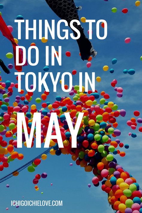 What to Do in Tokyo in the Month of May Tokyo Tips, Japan In May, Flowers In Japan, Hello Kitty Store, Travel Tokyo, Japan Beach, Japan Travel Destinations, Japan Spring, Japan Temple