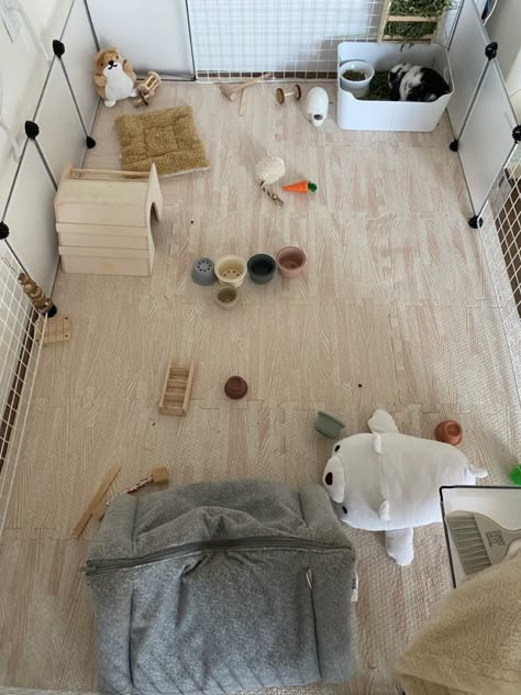 Rabbit Pen Setup, Bunny X Pen, Bunny Setup In Bedroom, Rabbit X Pen Setup, Bunny Play Pen Ideas, Bunny Room Aesthetic, Bunny Pen Ideas, Rabbit Pen Ideas, Bunny Play Area