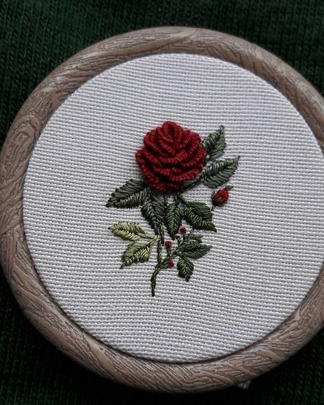 Contemporary Embroidery, Hand Embroidery Videos, Hand Embroidery Tutorial, Handmade Embroidery Designs, Pola Sulam, Hand Embroidery Flowers, Brazilian Embroidery, Creative Embroidery, Embroidery On Clothes