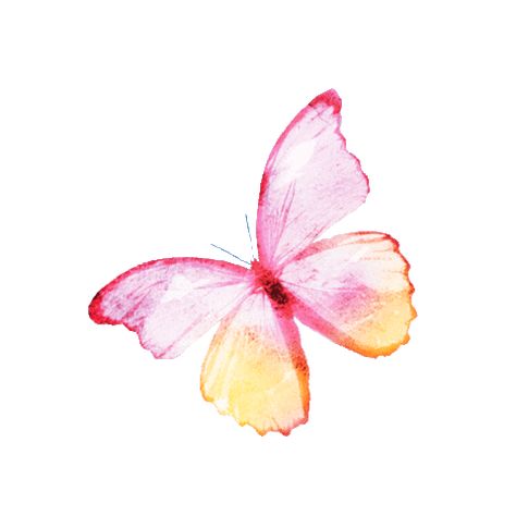 Butterfly Sticker by Clean Beauty Collective for iOS & Android | GIPHY Butterfly Gif Png, Animated Butterflies, Butterfly Animation, Butterfly Animated, Butterfly Gif, Butterfly Video, Vector Animation, Love Heart Gif, Butterfly Png