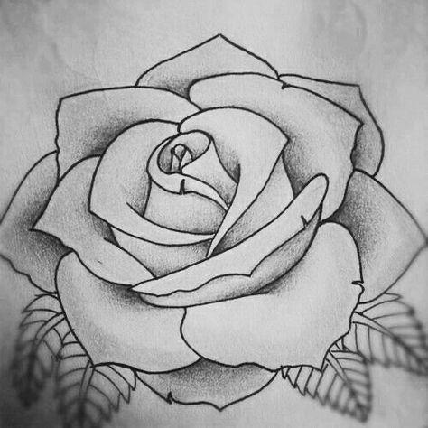 Rose Outline Drawing, Rose Drawing Simple, Rose Drawing Tattoo, Rose Stencil, Rose Sketch, Tattoo Outline Drawing, Drawing Stencils, Flower Art Drawing, Cool Pencil Drawings