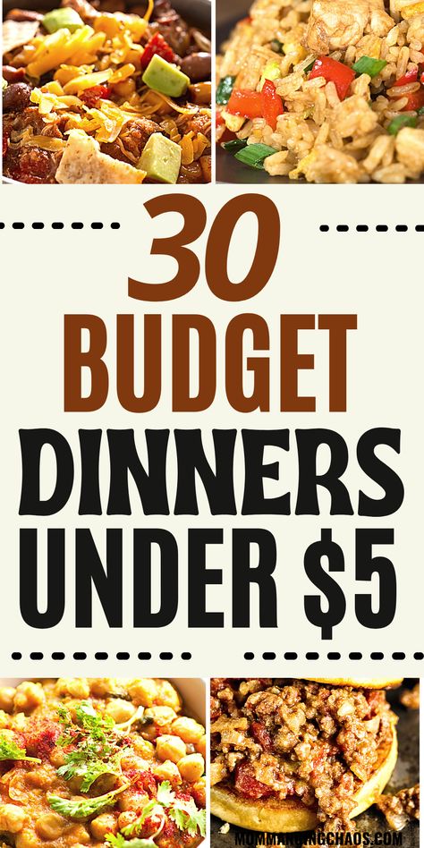 Cheap Family Dinners, Budget Dinners, Budget Dinner, Cheap Meal Plans, Low Cost Meals, Cheap Family Meals, Easy Cheap Dinners, Large Family Meals, Cheap Easy Meals