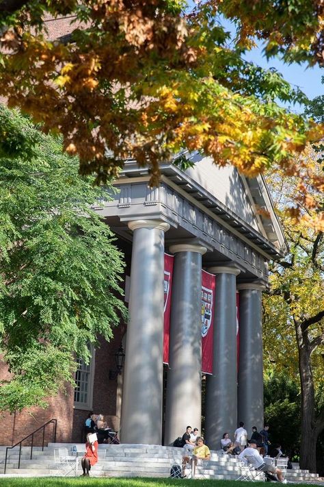 Harvard Aesthetic, Harvard Architecture, Harvard University Campus, Harvard Uni, University Inspiration, Harvard Yale, Harvard Students, Academic Aesthetic, College Vision Board