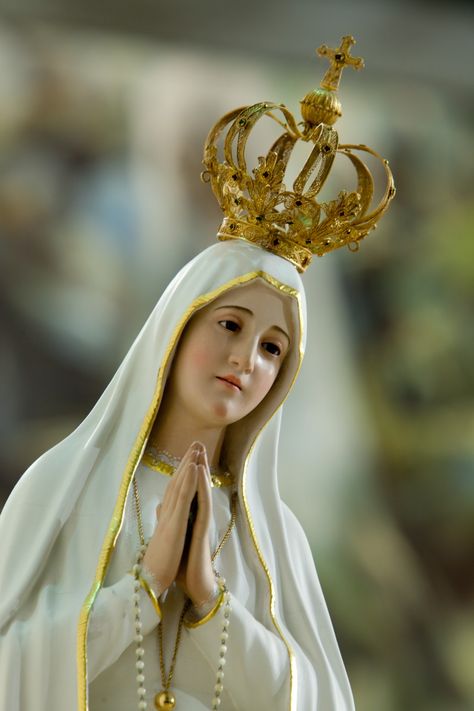 Mary Matha, Images For Whatsapp Dp, Mary Images, Blessed Mother Statue, Mother Mary Images, Jesus Photo, Lady Of Fatima, Hd Wallpaper Iphone, Religious Images