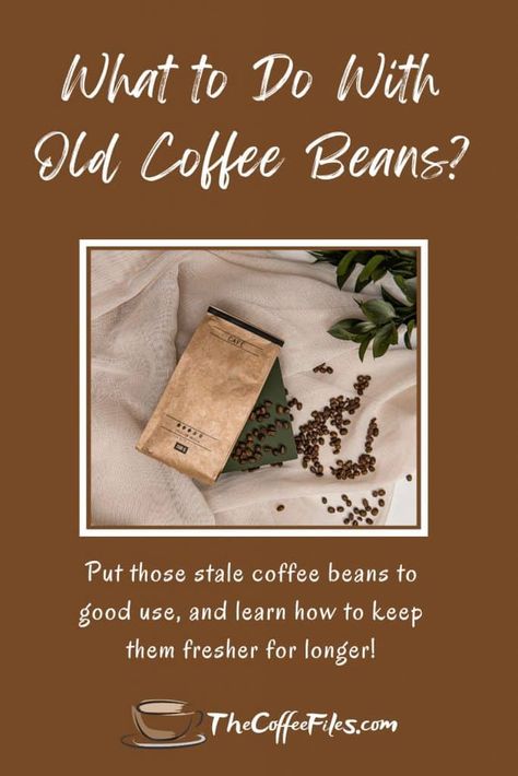 What To Do With Coffee Beans, Chocolate Covered Espresso Beans, Fresh Coffee Beans, Coffee History, Coffee Bean Grinder, Espresso Beans, How To Exfoliate Skin, Cup Of Joe, Fresh Coffee