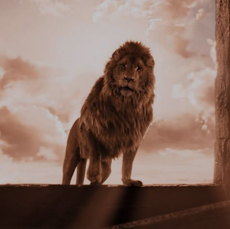 Narnia Shifting, Yn Aesthetic, Narnia Aslan, Narnia Lion, Narnia Aesthetic, Narnia Quotes, Light Movie, Narnia 3, Christian Illustration