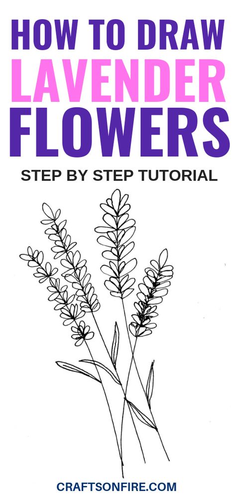 Hot To Draw Flowers, Draw Lavender Step By Step, How To Draw Lavender, Draw Lavender Flowers, Lavender Plant Drawing, Lavender Flower Drawing, Easy To Draw Flowers, Draw Lavender, Realistic Flower Drawing