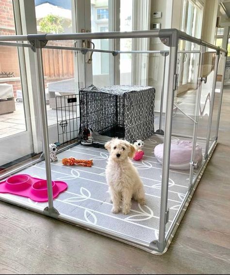 Clearly Loved Pets, Pet Pen, Dog Room Decor, Puppy Pens, Dog Bedroom, Puppy Room, Dog Spaces, Dog Mommy, Dog Pen