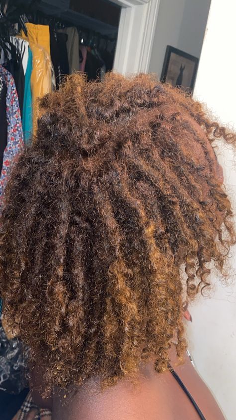 Loc Sizes Chart, Loc Sizes, Short Dreadlocks Hairstyles, Brown Locs, Colored Locs, Pretty Locs, Dreadlocks Hair Care, Protective Style Braids, Hair Projects