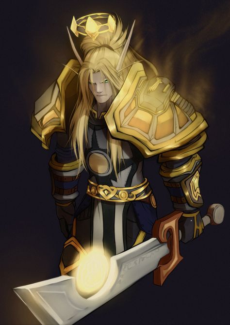 Paladin Warcraft, Blood Elf Paladin, Warcraft Paladin, World Of Warcraft Paladin, Elf Paladin, World Of Warcraft Game, Warcraft Game, World Of Warcraft Characters, Warcraft Characters