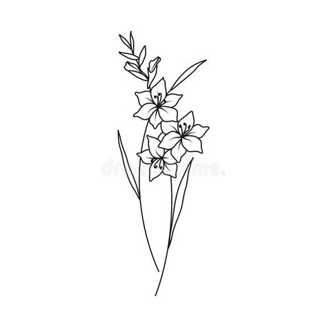 Gladiolus Drawing Simple, Simple Gladiolus Flower Tattoo, Gladiolus Flower Drawing Simple, Gladiolus Tattoo Simple, Gladiolus Tattoo Design, Gladiolus Drawing, Gladiolus Flower Drawing, Gladiolas Tattoo, Gladiolus Flower Tattoo