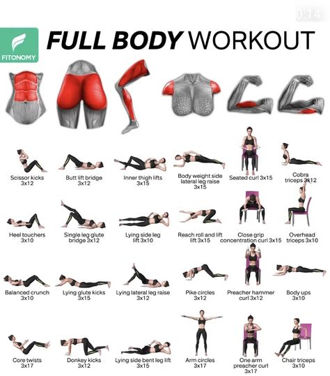 Muscle Names, Inner Thigh Lifts, Concentration Curls, Best Fat Burning Workout, Scissor Kicks, Leg Workout At Home, Preacher Curls, Winter Arc, Burning Workout