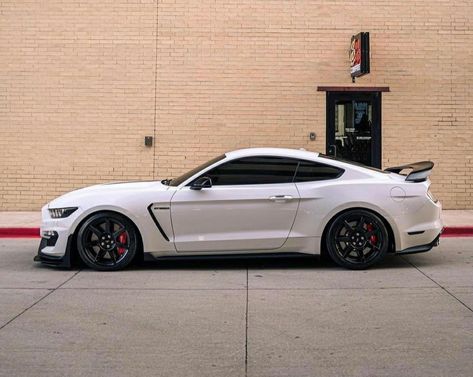 White Mustang Gt, White Mustang, Mustang Gt 350, Ibiza Fr, Mustang Gt500, S550 Mustang, Ford Mustang Car, Ford Mustang Shelby Gt500, Cars Uk