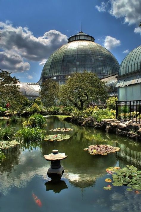 Detroit´s Belle Isle Conservatory Detroit Rock City, Michigan Adventures, Detroit History, Detroit City, Detroit Area, Belle Isle, Michigan Travel, Pure Michigan, Coney Island