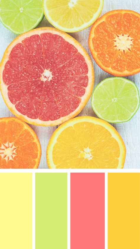 Citrus Palette, Colour Pallettes, Color Design Inspiration, Palette Design, Palette Ideas, Pastel Colour Palette, Colour Combo, Orange Fruit, Color Palette Design