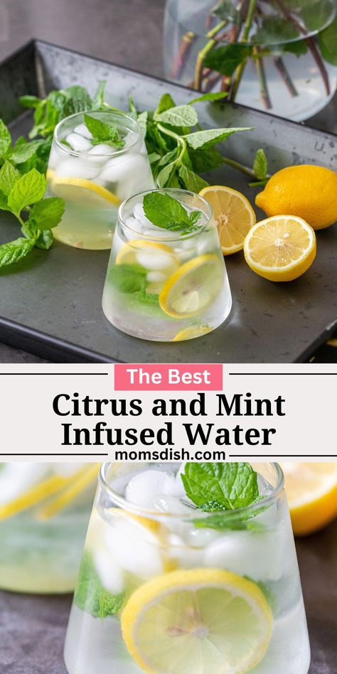 Mint Infused Water, Lemon Mint Water, Best Non Alcoholic Drinks, Mint Drink, Flavored Water Recipes, Drinking Enough Water, Not Drinking Enough Water, Mint Water, Infused Water Recipes