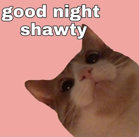 Goodnight Memes Funny, Wanna Play Minecraft, Goodnight Funny, Good Night Meme, Good Night For Him, Lucas Stranger Things, I Love You Funny, Funny Photo Memes, Good Night Cat