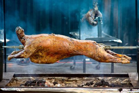 A fire roasted whole lamb is sure to please. While it might sound difficult, as long as you're ready to do the preparation, you won't have trouble. Pig Roast Recipes, Spit Roast Lamb, Lamb Spit, Greek Bbq, Thailand Luxury, Grilled Kabob Recipes, Exodus 12, Morocco Food, Roast Lamb