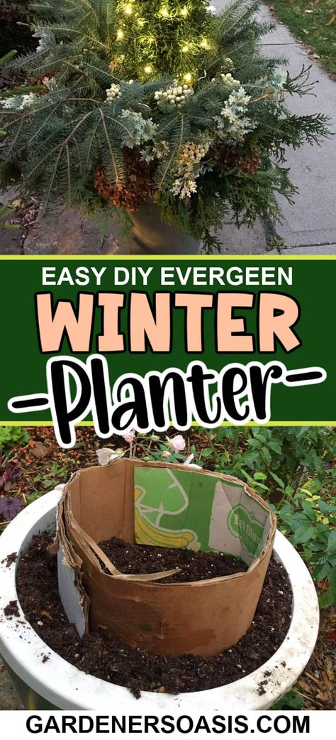 Easy DIY Evergreen Winter Planter | Gardening Container Gardening Design, Container Gardening Herbs, Christmas Planters Diy, Container Gardening Full Sun, Evergreen Planters, Diy Garden Planters, Garden Planters Ideas, Container Gardening Fruit, Gardening Tomatoes