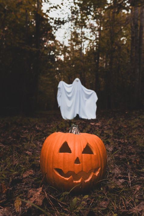 Spooky photoshoot. Halloween photoshoot. Spooky photoshoot ideas. Halloween photoshoot ideas. Halloween Photoshoot, Halloween