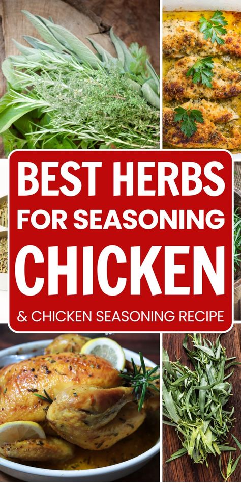 Best herbs for seasoning chicken and chicken seasoning recipe collage with various herbs and cooked chicken dishes. Savory Chicken Seasoning, Mixed Herbs Recipe, Spices For Chicken, Seasoning For Chicken, Best Chicken Seasoning, Chicken Seasoning Mix, Chicken Seasoning Recipes, Herbs For Chickens, Fresh Herb Recipes