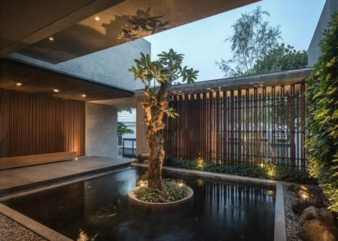 Rakta Studio, Kolam Koi, Modern Tropical House, Timber Screens, Courtyard Design, Timber Deck, Exposed Concrete, Tropical House, Modern Tropical