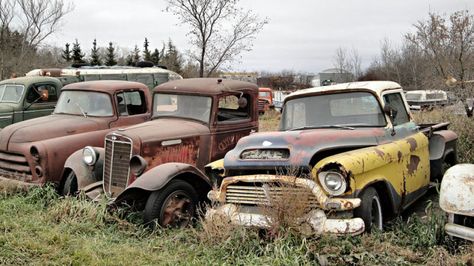 Junk yard News, Videos, Reviews and Gossip - Jalopnik Chevy Trucks For Sale, Junkyard Cars, Rusty Cars, Antique Trucks, Last Ride, Classic Pickup Trucks, Abandoned Cars, Chevrolet Trucks, Vintage Trucks