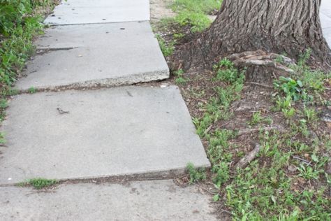 An uneven sidewalk is a safety hazard. While it used to be an expensive fix, new technologies have enabled fast and simple sidewalk repair. Repair Concrete Driveway, Slate Walkway, Repair Cracked Concrete, Patio Repair, Sidewalk Repair, Concrete Sidewalk, Concrete Repair Products, Driveway Repair, Concrete Patio Makeover